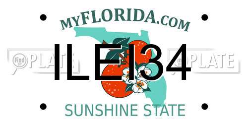 ILEI34 Florida License Plate
