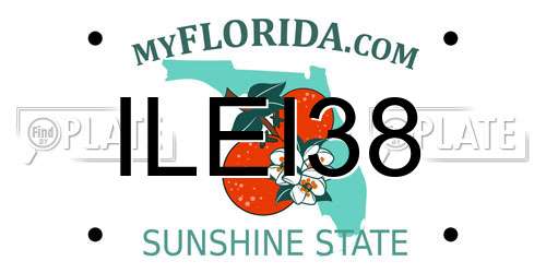 ILEI38 Florida License Plate