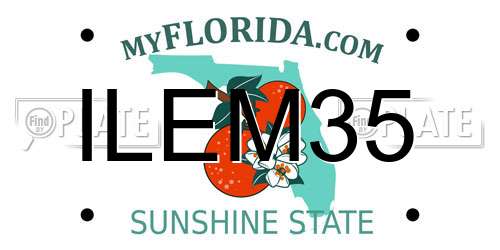 ILEM35 Florida License Plate