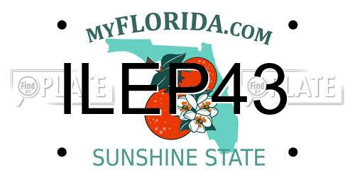 ILEP43 Florida License Plate