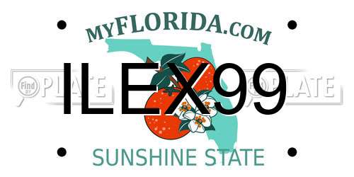 ILEX99 Florida License Plate