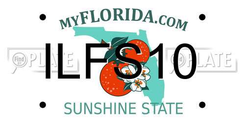 ILFS10 Florida License Plate