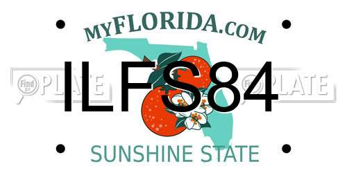 ILFS84 Florida License Plate