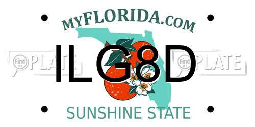 ILG8D Florida License Plate