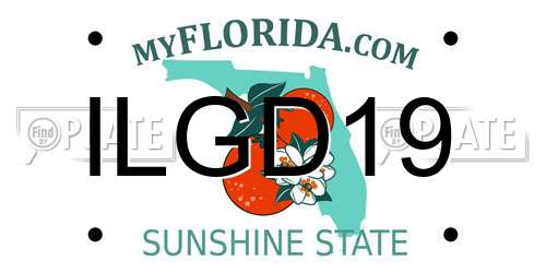 ILGD19 Florida License Plate