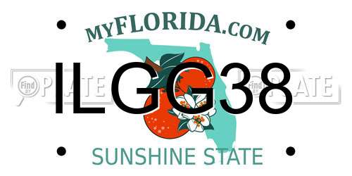 ILGG38 Florida License Plate
