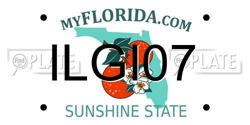 ILGI07 Florida License Plate