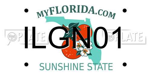 ILGN01 Florida License Plate