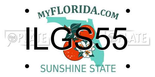 ILGS55 Florida License Plate