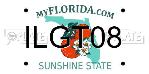 ILGT08 Florida License Plate