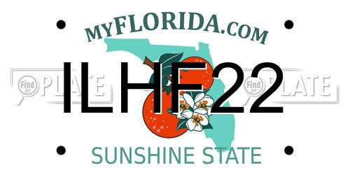 ILHF22 Florida License Plate