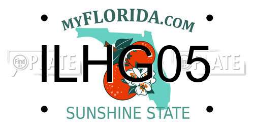 ILHG05 Florida License Plate