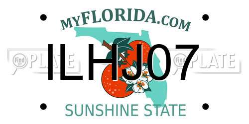 ILHJ07 Florida License Plate