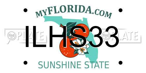 ILHS33 Florida License Plate