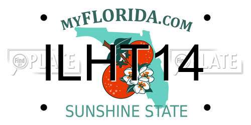 ILHT14 Florida License Plate