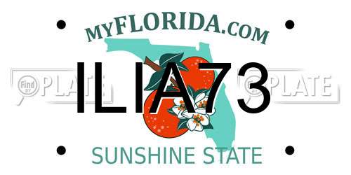 ILIA73 Florida License Plate
