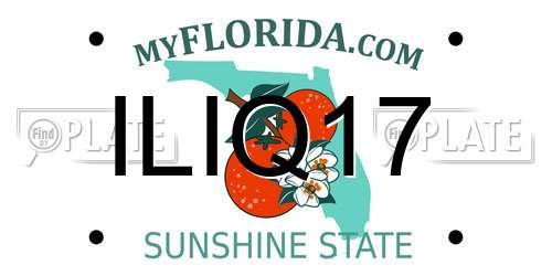ILIQ17 Florida License Plate