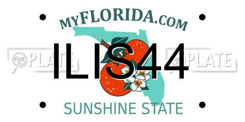 ILIS44 Florida License Plate