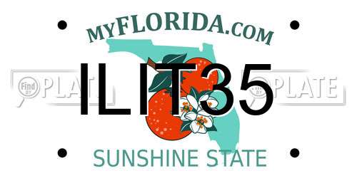ILIT35 Florida License Plate