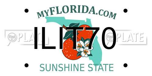 ILIT70 Florida License Plate