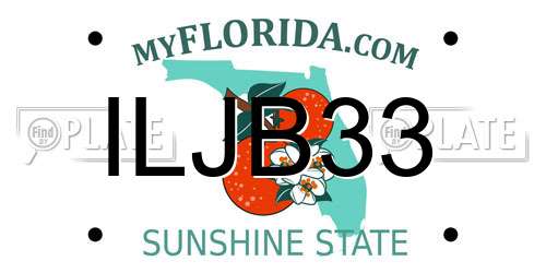 ILJB33 Florida License Plate