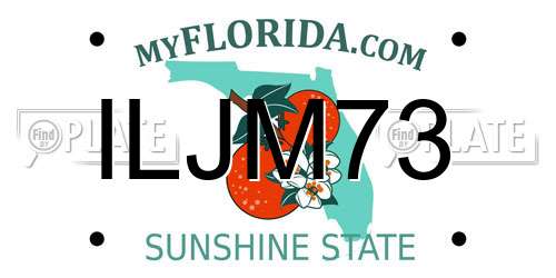 ILJM73 Florida License Plate