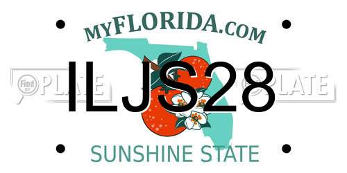 ILJS28 Florida License Plate