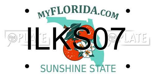 ILKS07 Florida License Plate