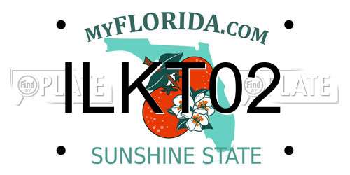 ILKT02 Florida License Plate