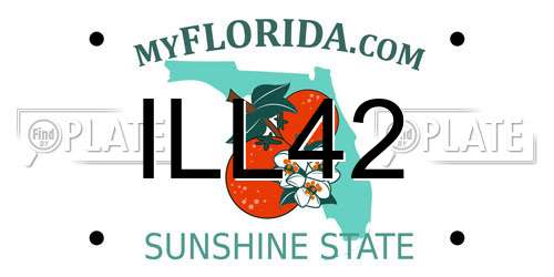 ILL42 Florida License Plate