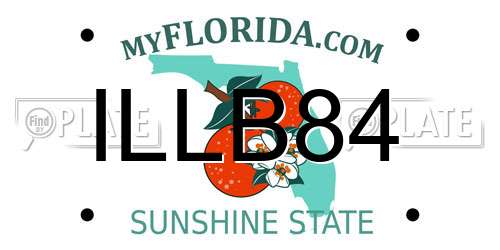 ILLB84 Florida License Plate