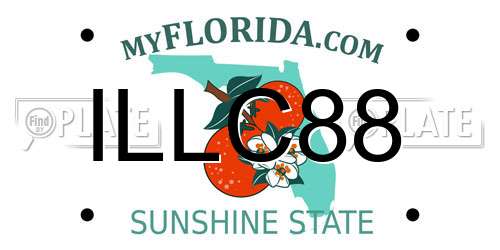 ILLC88 Florida License Plate