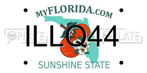 ILLQ44 Florida License Plate