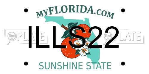 ILLS22 Florida License Plate