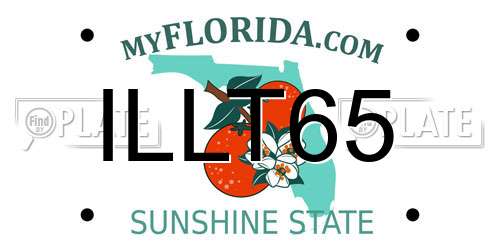 ILLT65 Florida License Plate