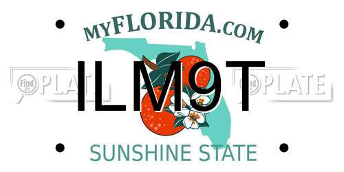 ILM9T Florida License Plate