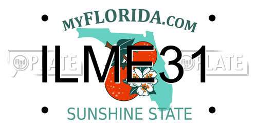 ILME31 Florida License Plate