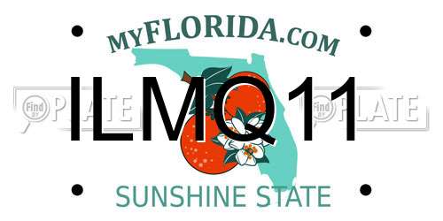 ILMQ11 Florida License Plate