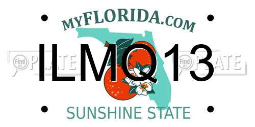 ILMQ13 Florida License Plate