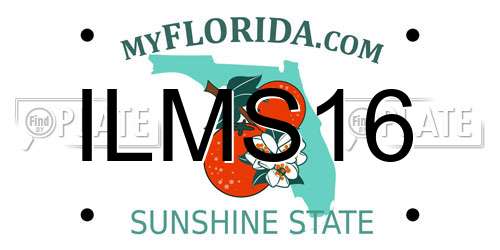 ILMS16 Florida License Plate