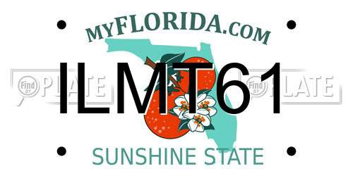 ILMT61 Florida License Plate