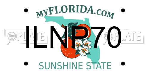 ILNP70 Florida License Plate
