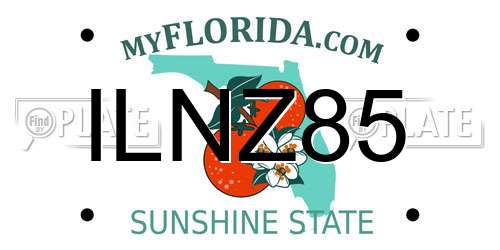 ILNZ85 Florida License Plate