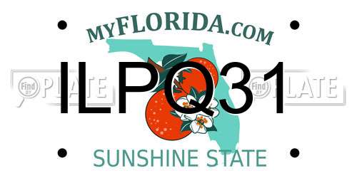 ILPQ31 Florida License Plate
