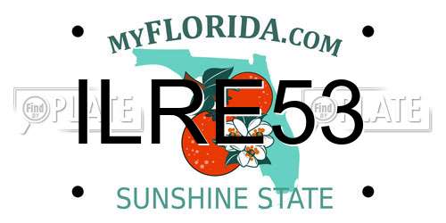 ILRE53 Florida License Plate