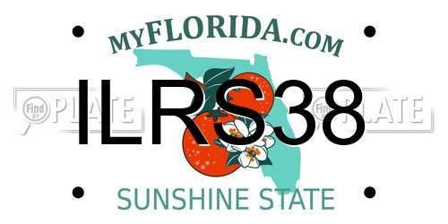 ILRS38 Florida License Plate