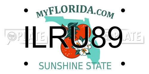ILRU89 Florida License Plate