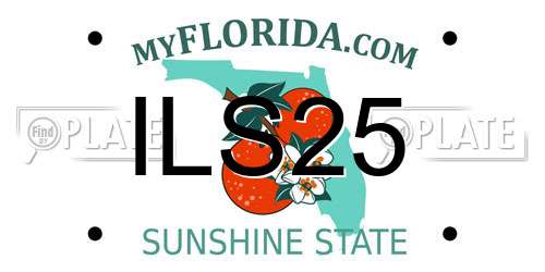 ILS25 Florida License Plate