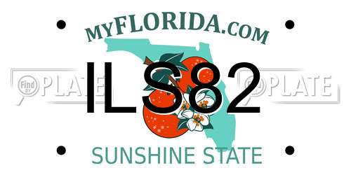 ILS82 Florida License Plate