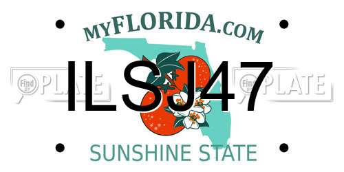 ILSJ47 Florida License Plate